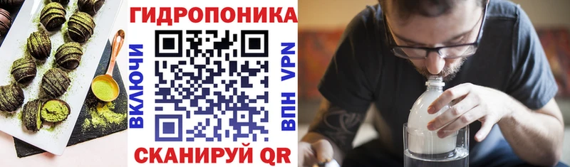как найти наркотики  Волжск  МЕГА ТОР  Cannafood конопля 
