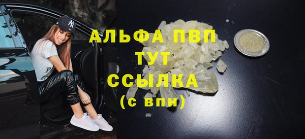 сатива Баксан