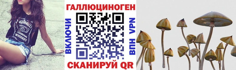 Галлюциногенные грибы MAGIC MUSHROOMS  Волжск 