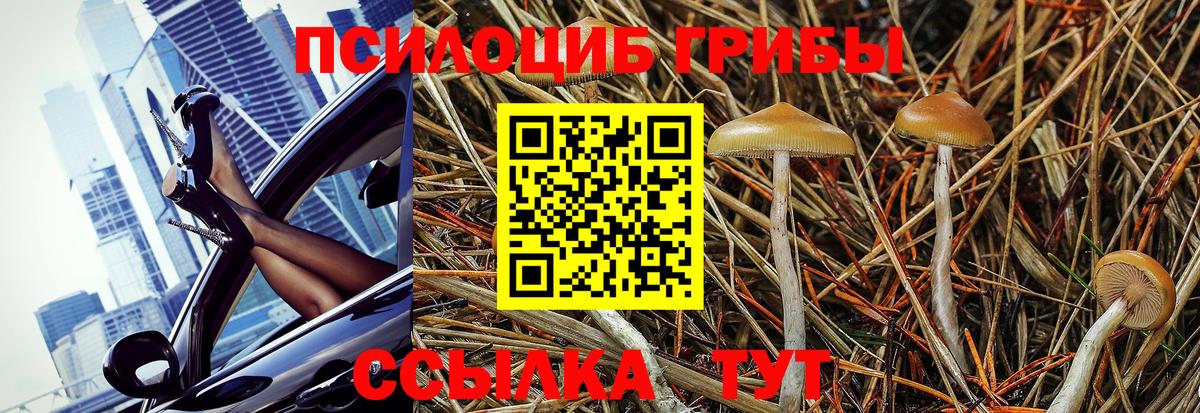 Галлюциногенные грибы ЛСД Волжск